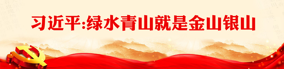 绿水青山就是金山银山